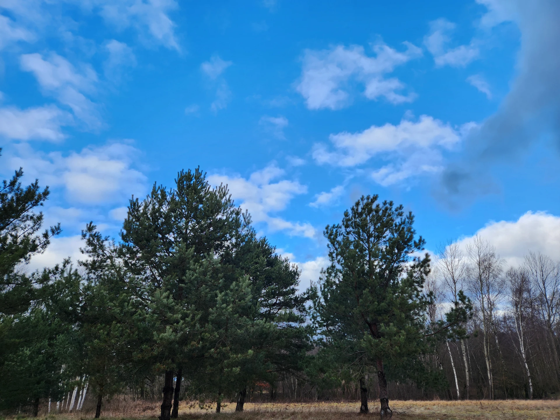 Taken on Samsung Galaxy Z Fold 4